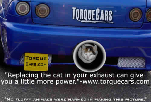 cat-Exhaust-low-res.jpg